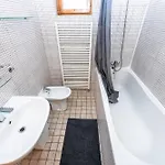 Apartment Slavikova *