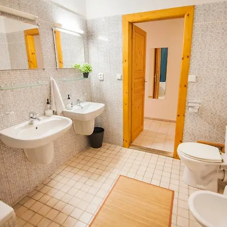 Slavikova Apartmán *